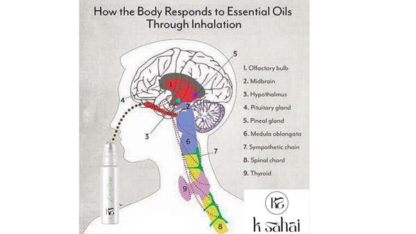 Essential Oils Inhalation