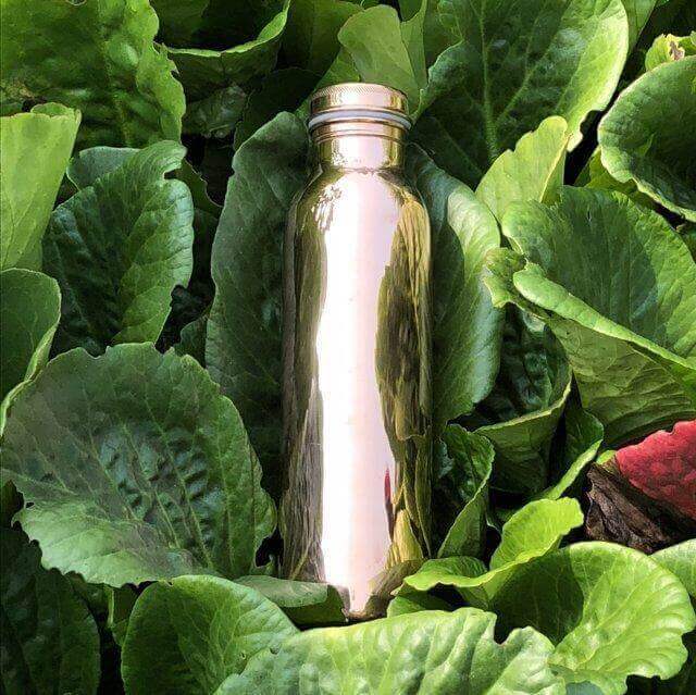 Copper H2O smooth water bottle placed on large leaf plants