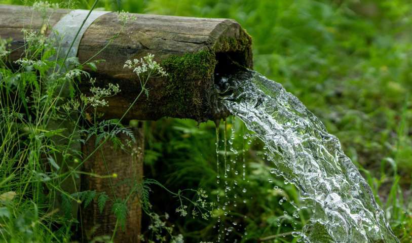 water flowing through bamboo tube during daytime nature environment