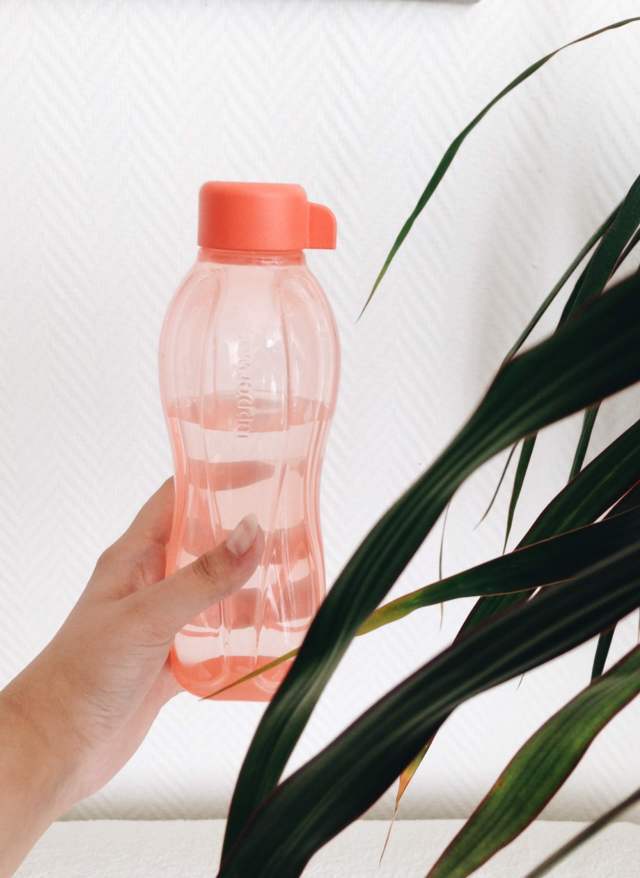 hand holding pink translucent bottle white background plant beside