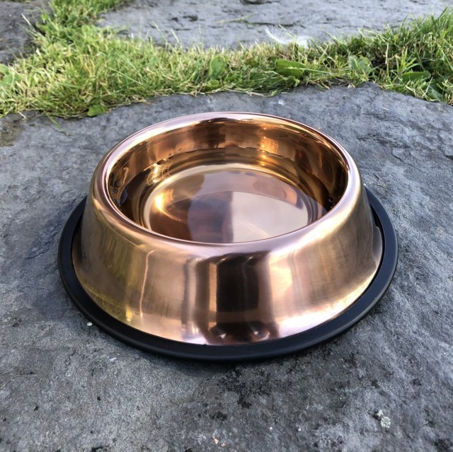 copper dog bowl