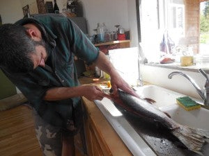 Mike filleting king salmon