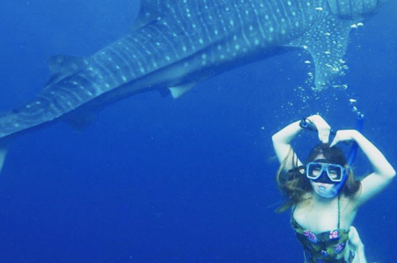 Whale Shark With Aguinid And Kawasan Falls Tour Tour Sidekicks