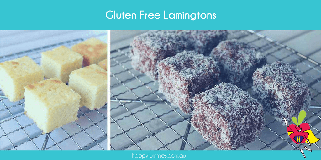 Gluten Free Lamingtons - Happy Tummies