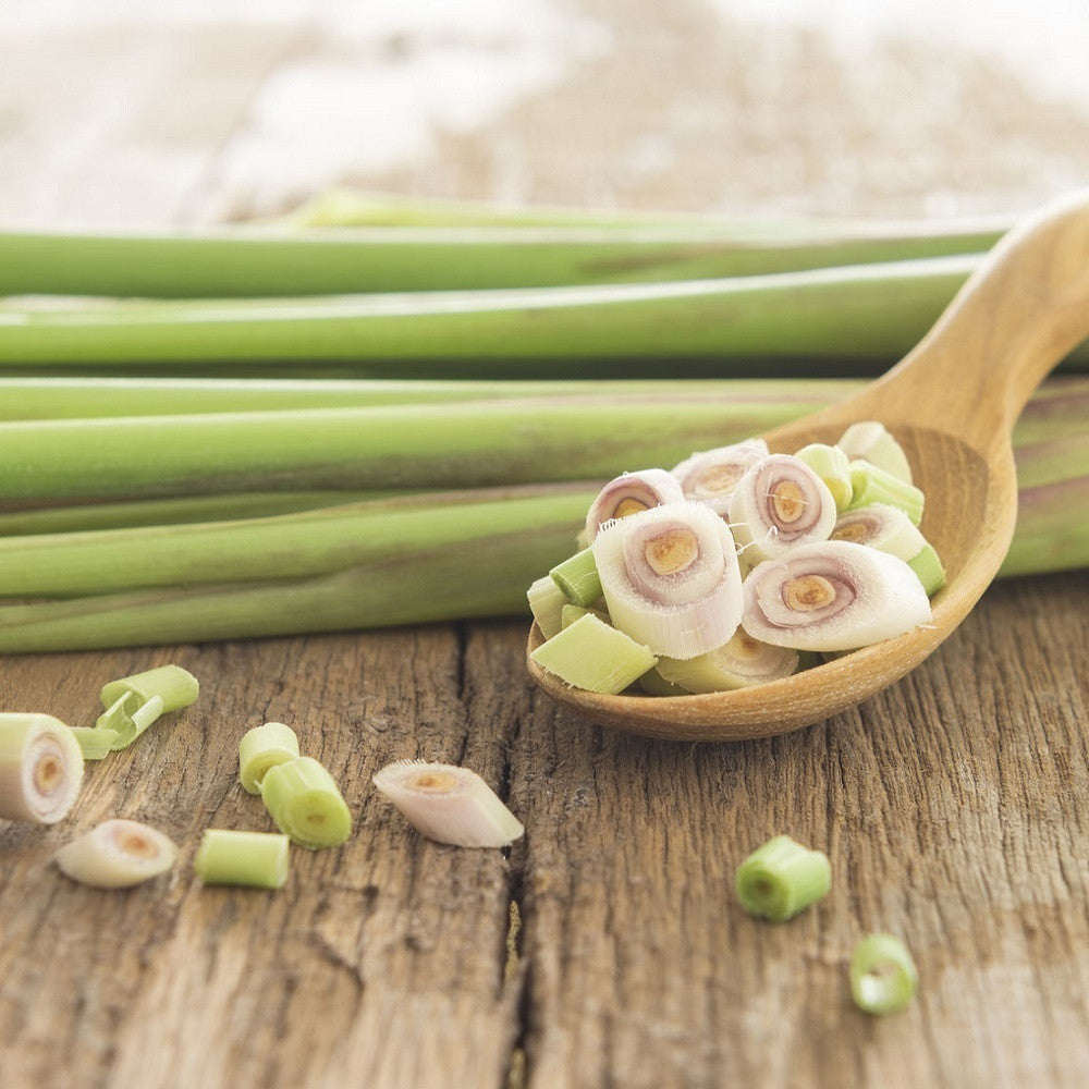 lemon grass plant