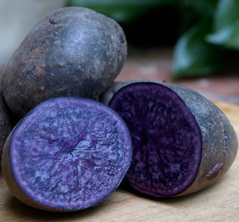 Purple majesty Potato - Organic Seed Potatoes