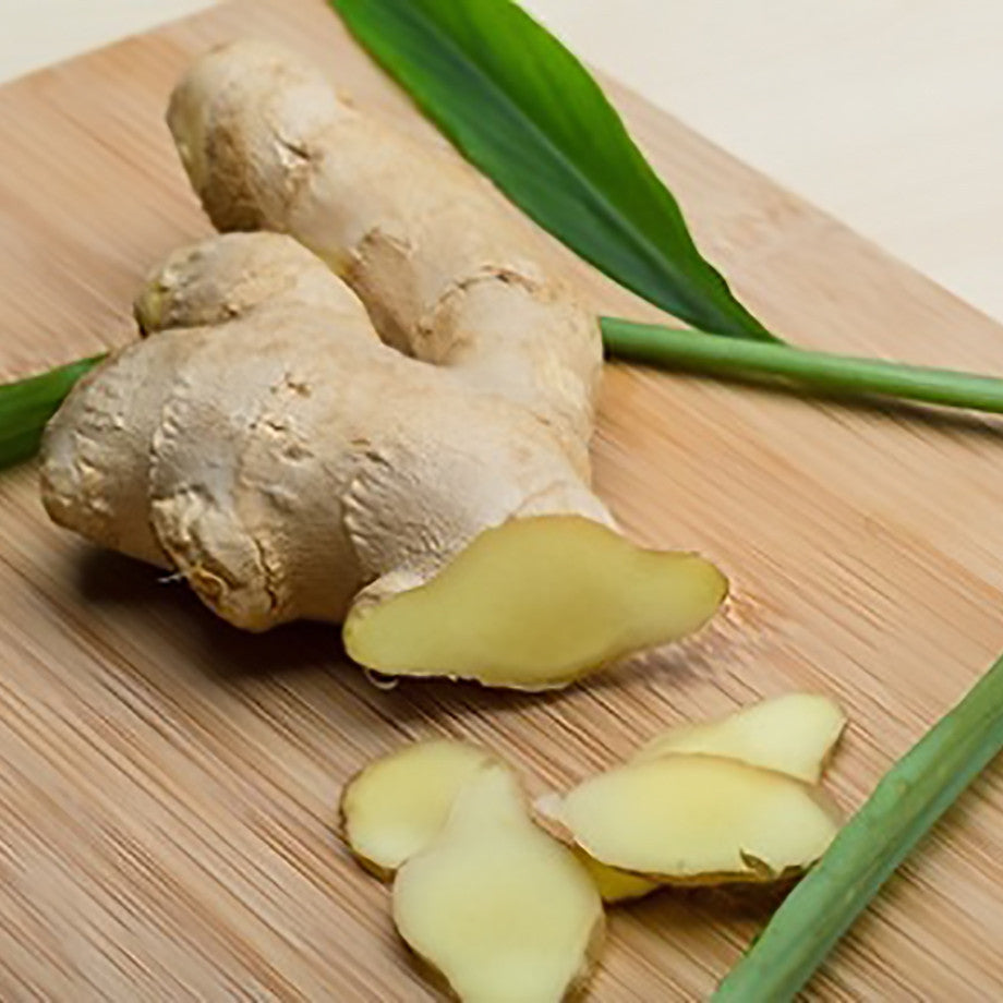 Ginger Tubers, Grow Ginger in Spring, Ginger Plants – Easy To Grow Bulbs