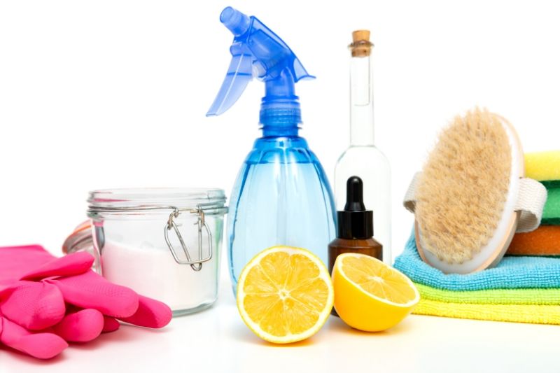 https://cdn.shopify.com/s/files/1/1420/1982/files/Eco-friendly_natural_cleaners_cleaning_products._Homemade_green_cleaning._Housekeeping_ecco.jpg?v=1587374528