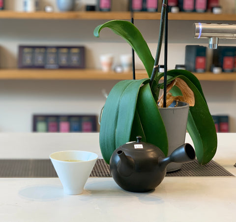 A Japanese tea pot beside a cup of Japanese green tea