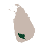 PekoeTea Edinburgh Map of Sri Lanka showing Ratnapura