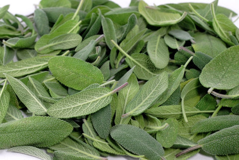 Palestinian Sage Tea Herb
