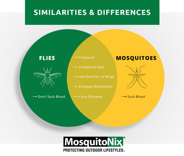 learn the difference between mosquitos and flies