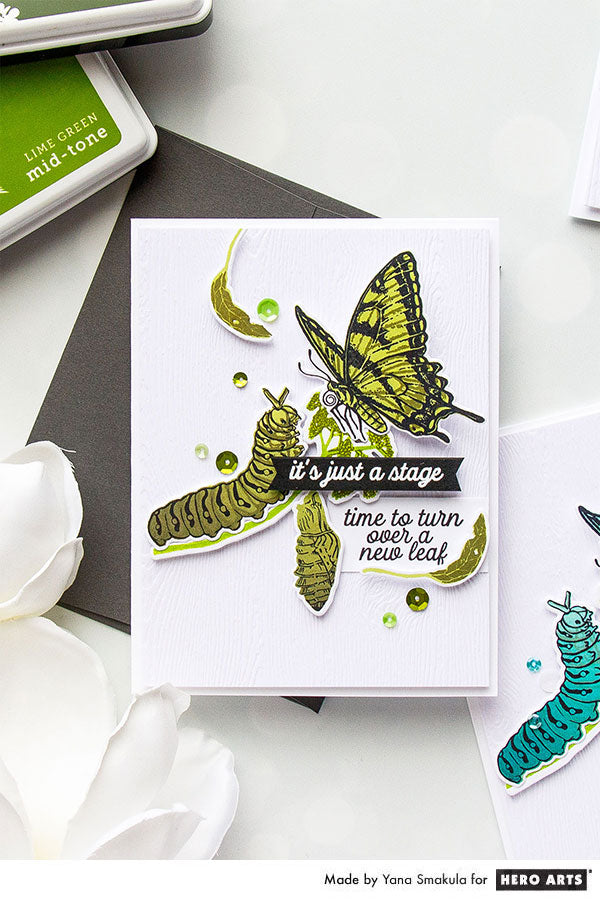  Color Layering Caterpillar Cards by Yana Smakula for Hero Arts