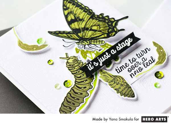  Color Layering Caterpillar Cards by Yana Smakula for Hero Arts