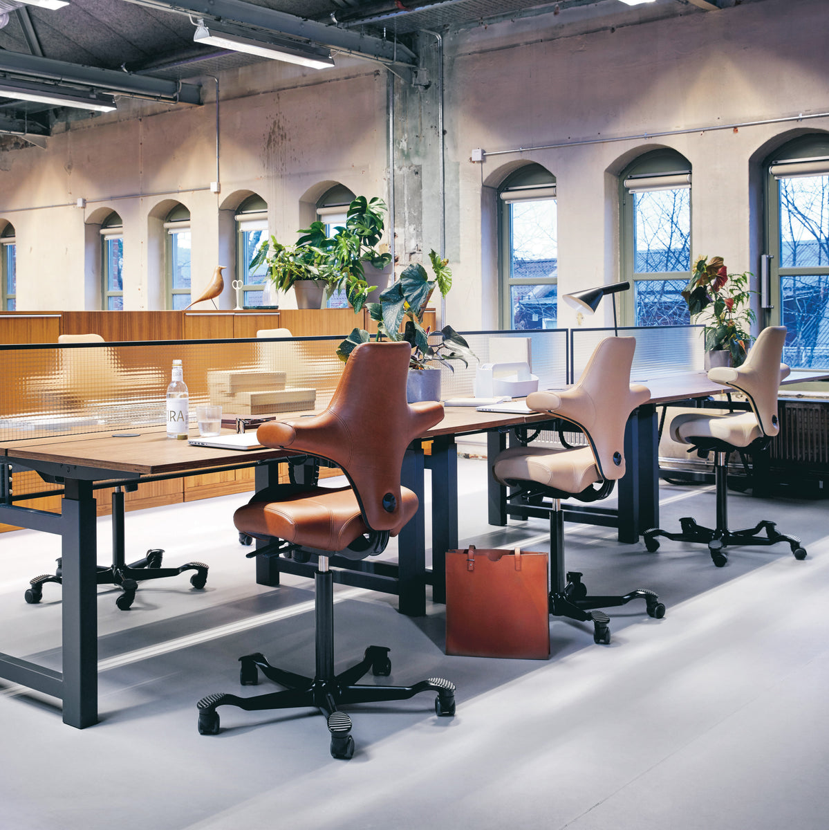 Ergonomic Office Chairs – Nordik Concept