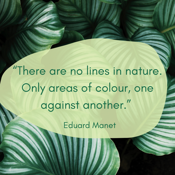There are no lines in nature – Eduard Manet 