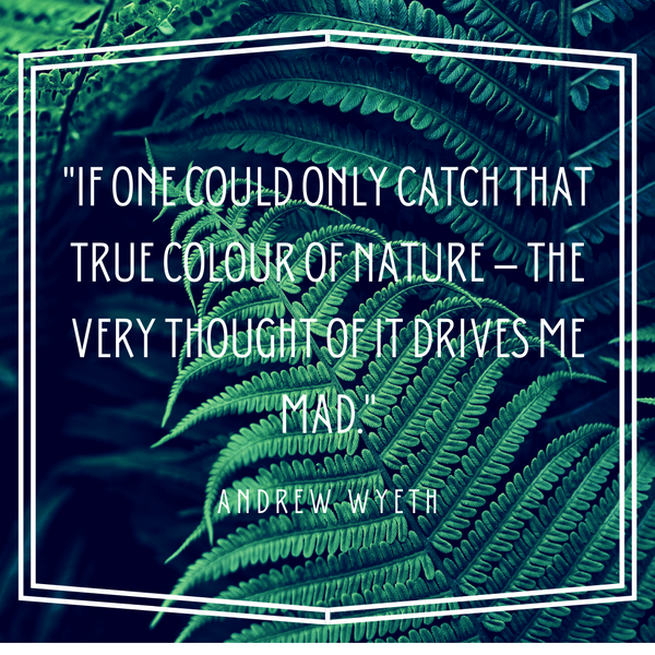 Catch that true colour of nature – Andrew Wyeth