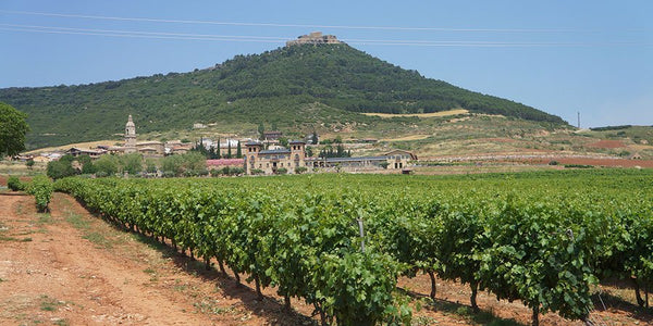 Tempranillo growing conditions