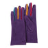Purple & Multicolor Texting Gloves