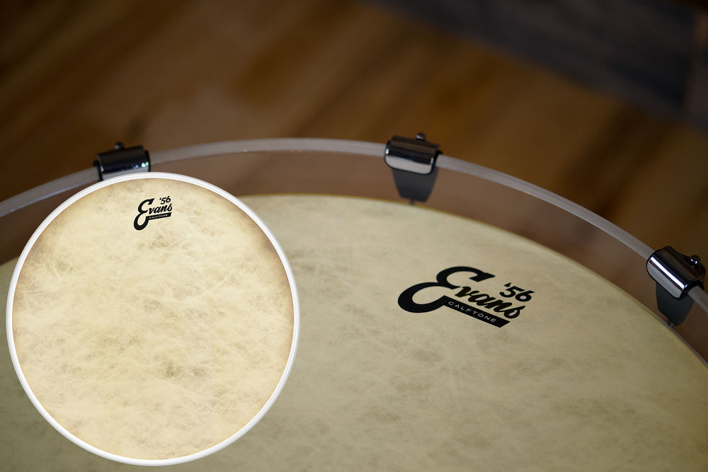 evans calftone bass drum head