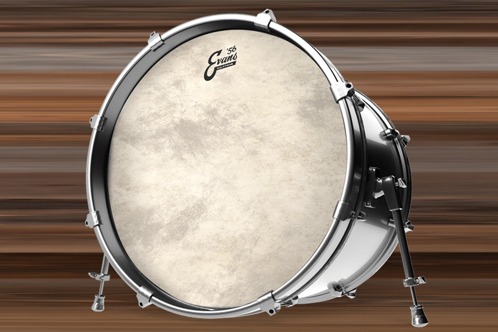 evans eq4 bass drum head