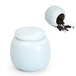  DICTEA – Airtight Small Storage Jar Porcelain Container for Matcha Powder and Loose Leaf Tea. 