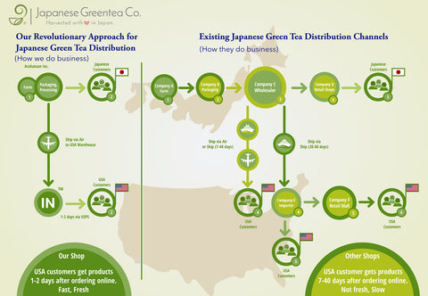 Japanese Green Tea Export Process