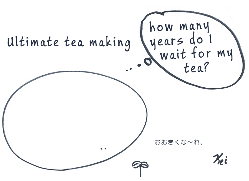 Growing Tea Plant