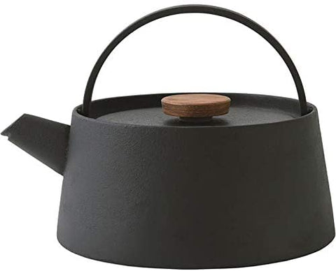 IKENAGA IRON WORKS Japanese Iron tea pot TETSU BIN (electromagnetic) -NANBU TEKKI-
