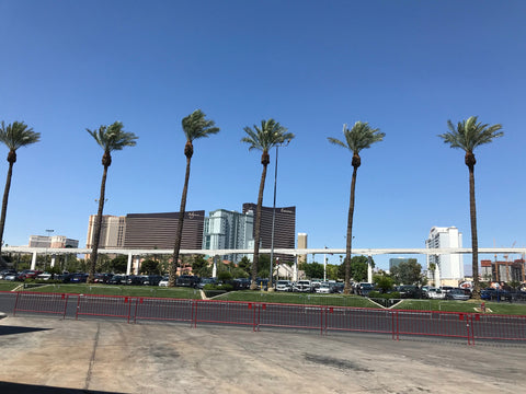 Outside Las Vegas Convention Center