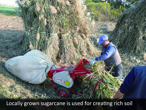 Locally grown sugarcane is used for creating rich soil
