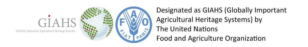Designated as GIAHS (Globally Important Agricultural Heritage Systems) by The United Nations Food and Agriculture Organization