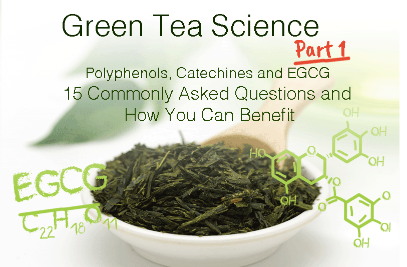 Scienza del tè verde parte 1: POLIFENOLI, CATECHINE ED EGCG - 15 DOMANDE comuni e come puoi trarne beneficio