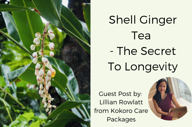 SHELL GINGER TEA - THE SECRET TO LONGEVITY