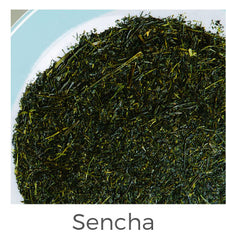 Sencha