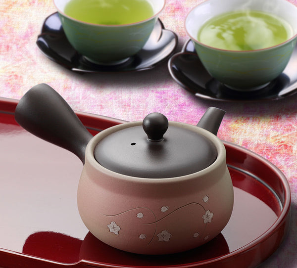 Tokoname Teapot