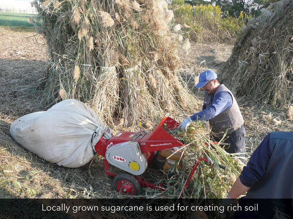 Locally grown sugarcane is used for creating rich soil