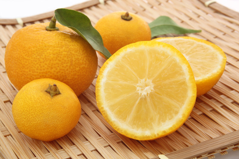 How To Use Yuzu Fruit: The Ultimate Guide to Cooking with Yuzu