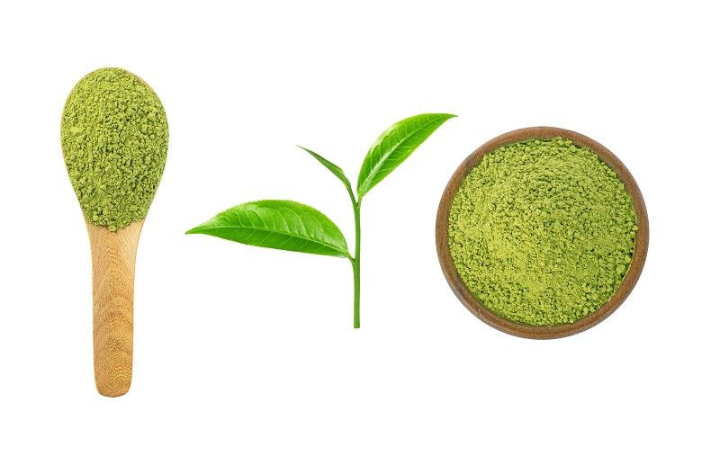 Benifuuki green tea is helpful for those with mast cell activation syndrome