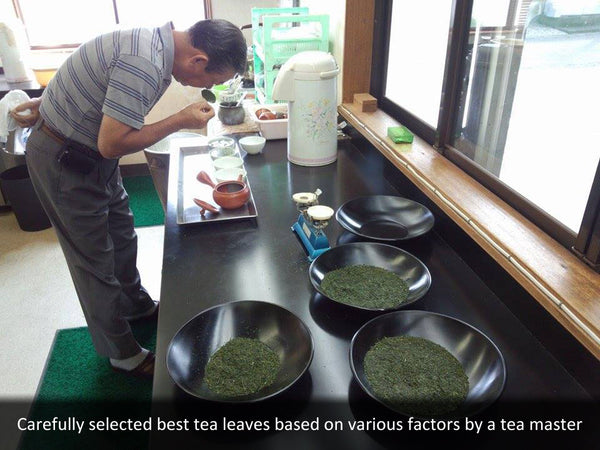 Carefully selected best tea leaves based on various factors by a tea master