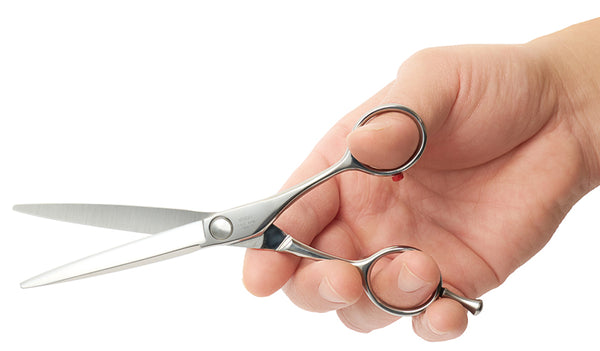 Vivid Convex Scissors