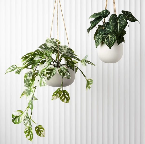 hanging plant pot