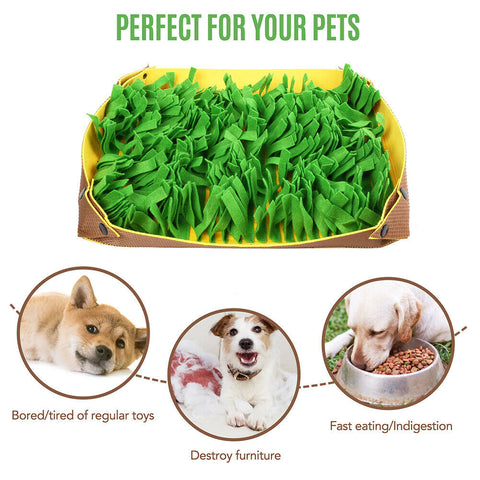 Snuffle Mat for Dogs