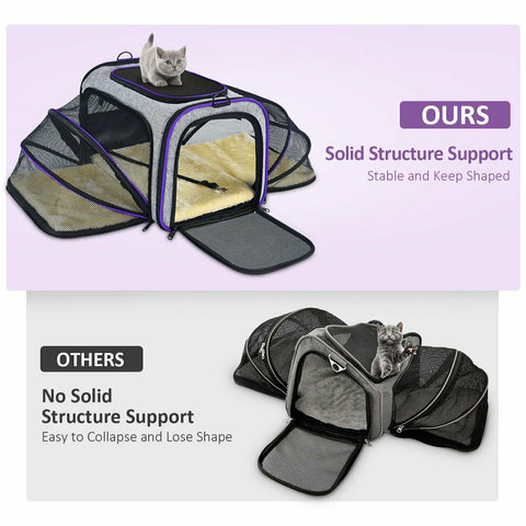 cat carrier