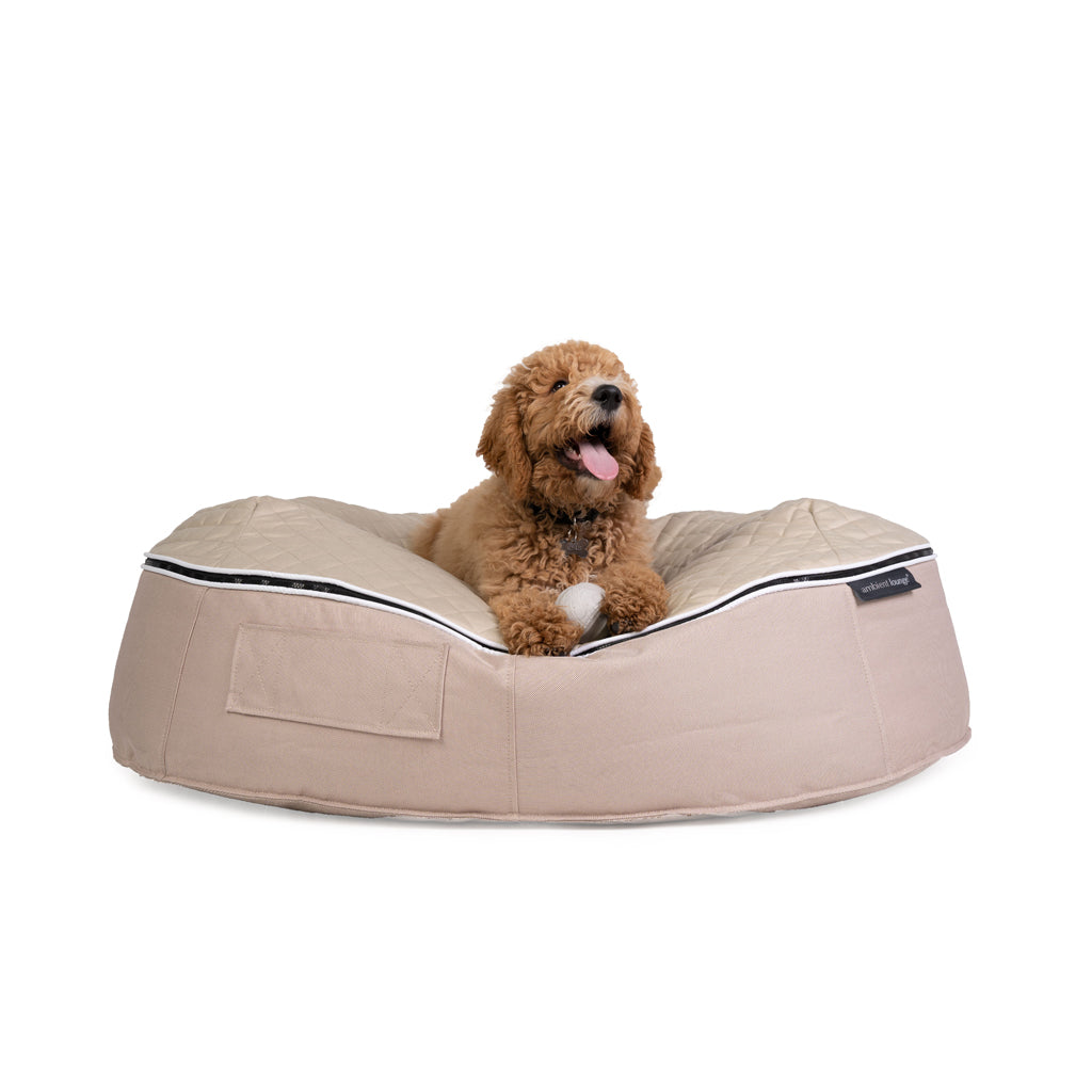 what is the most comfortable dog bed