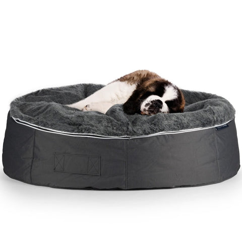 cheap dog beds xxl
