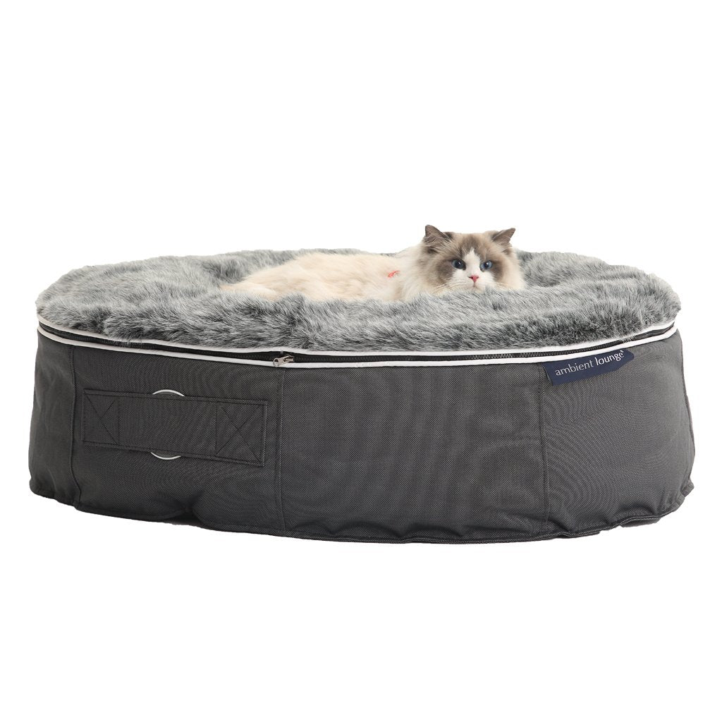 Luxury Indoor/Outdoor Cat Bed | Ambient 