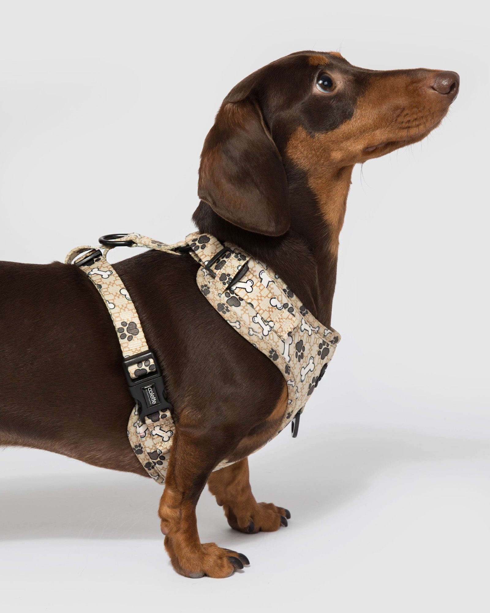 dog dress harness sale