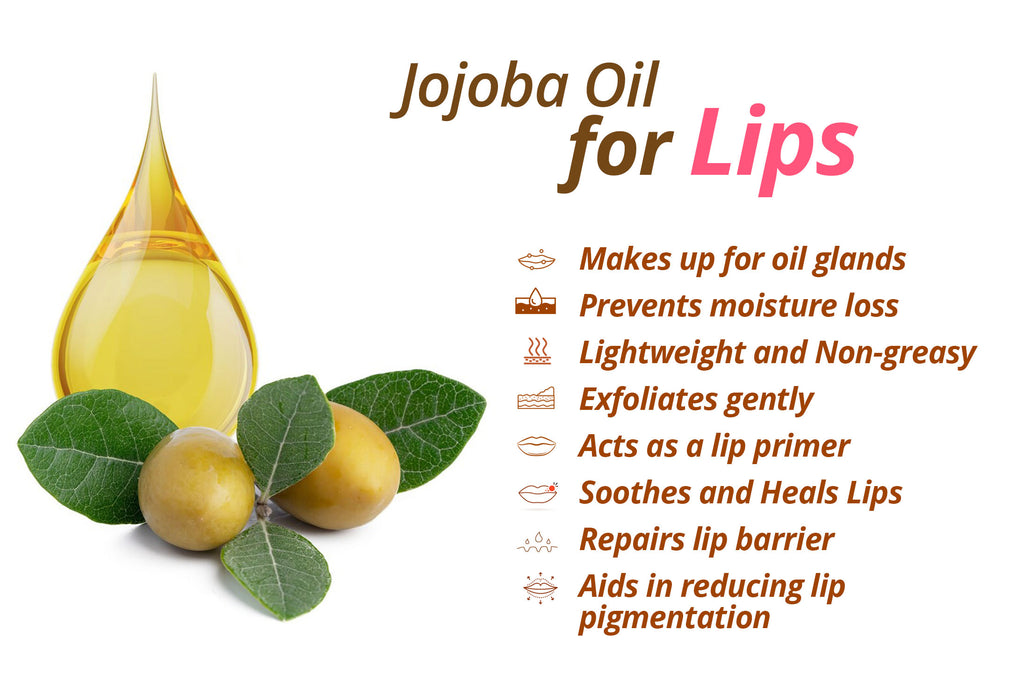 Jojoba Oil for Lips
