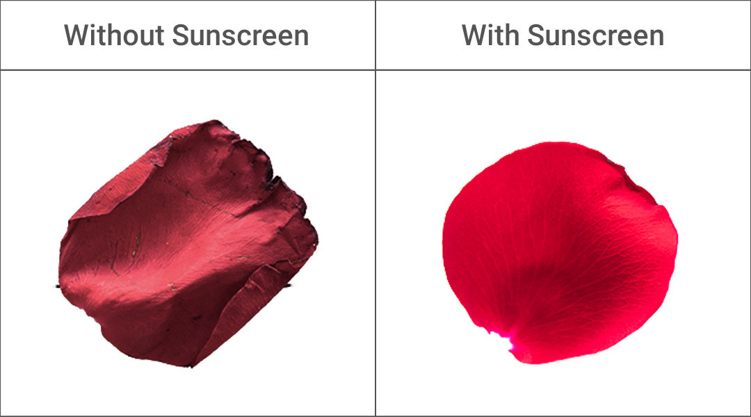 Without Sunscreen vs With Sunscreen